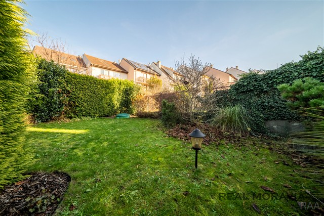 zahrada za domem [7/35]