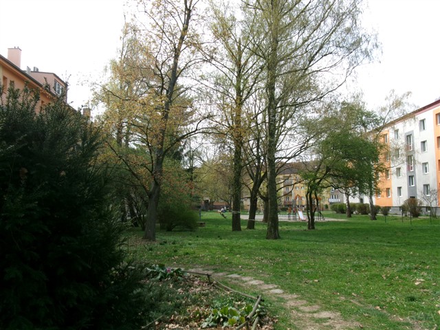 park kolem domu [20/36]